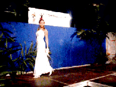 MISS COMBANI